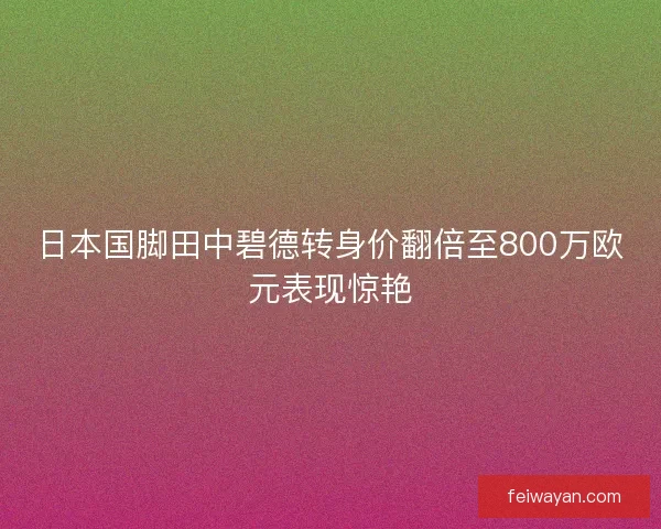 日本国脚田中碧德转身价翻倍至800万欧元表现惊艳