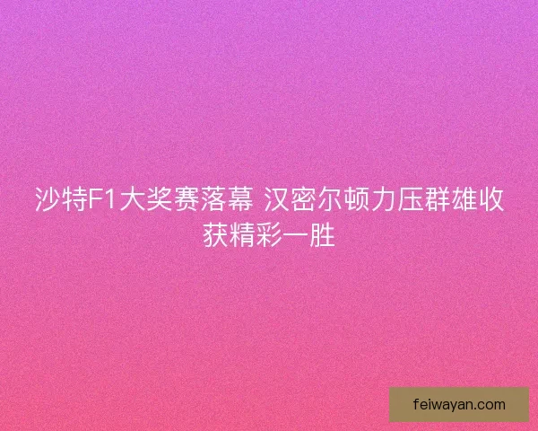 沙特F1大奖赛落幕 汉密尔顿力压群雄收获精彩一胜 沙特F1大奖赛落幕 汉密尔顿力压群雄收获精彩一胜